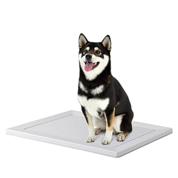 Amazon.co.jp: アイリスオーヤマ(IRIS OHYAMA) 犬 トイレ